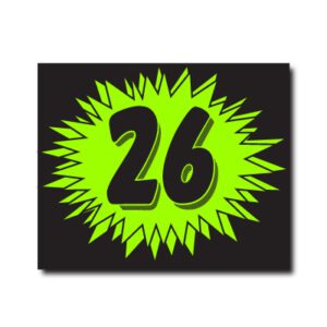 Burst Model Year Stickers EZ193